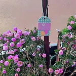 A Casa Di Gemma *