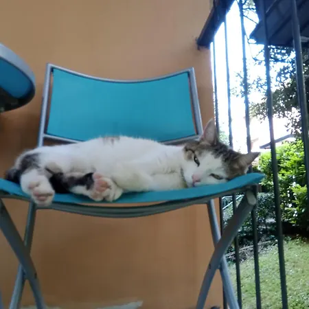 A Casa Di Gemma Pensión *