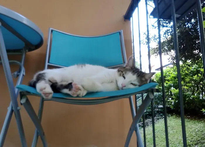 A Casa Di Gemma Pensión *
