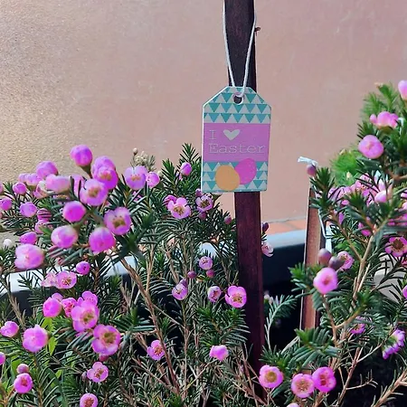 A Casa Di Gemma *