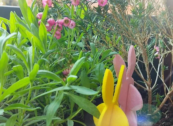 بيت ضيافة A Casa Di Gemma