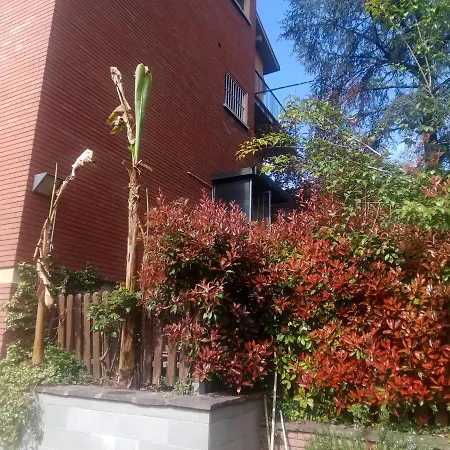 Πανσιόν A Casa Di Gemma *