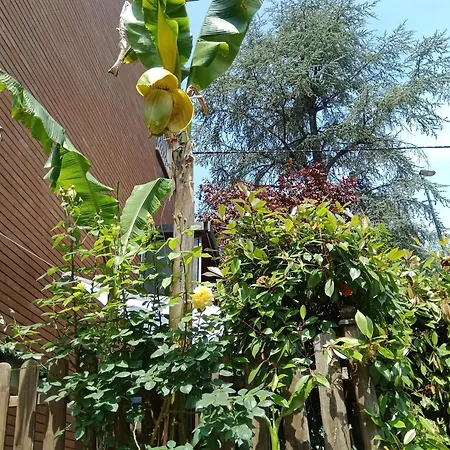 A Casa Di Gemma