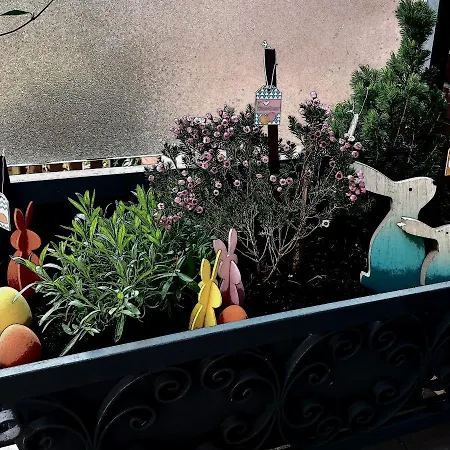A Casa Di Gemma Bolonya