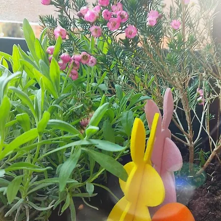 Konukevi A Casa Di Gemma